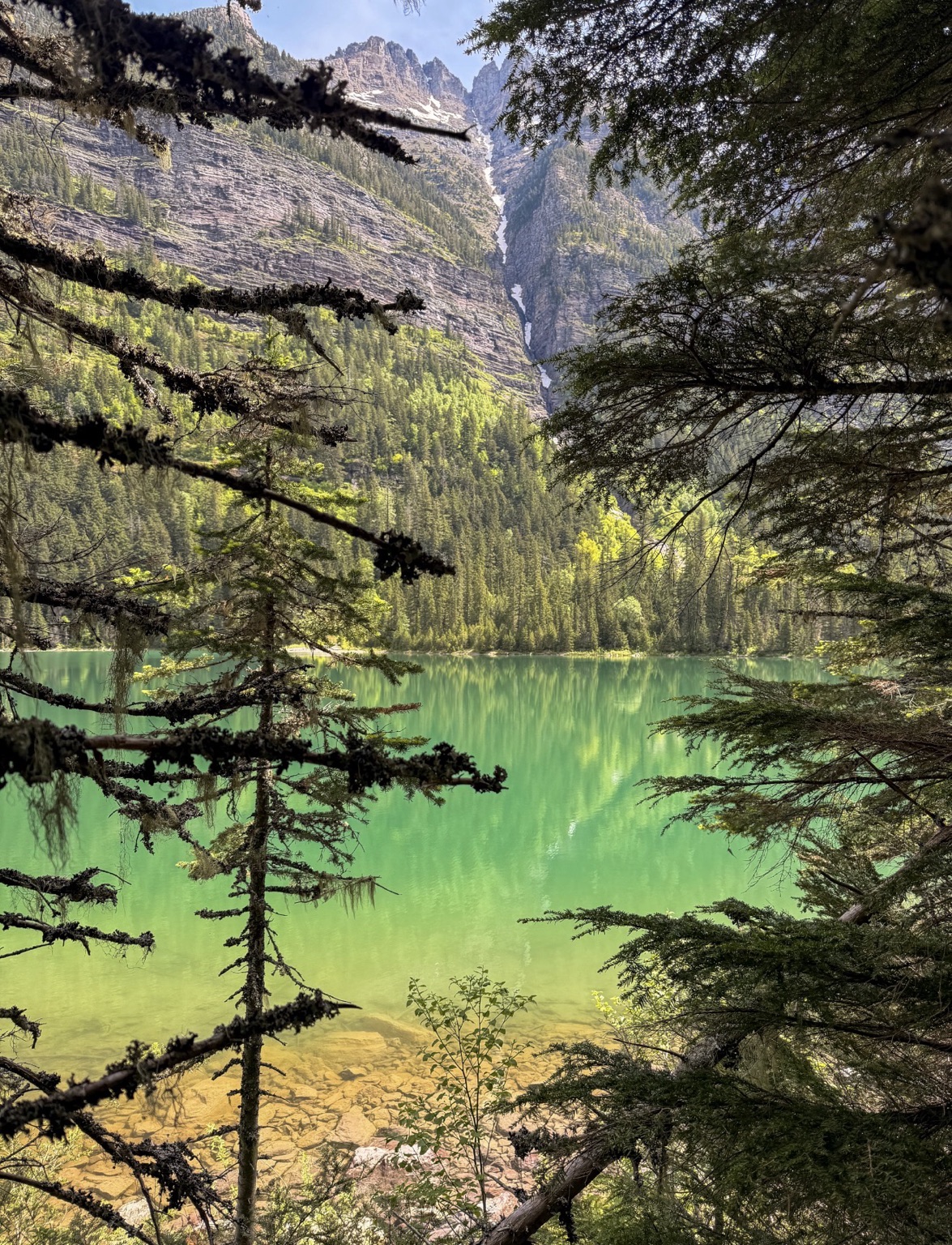 Reference photograph of a mountain lake surrounded by evergreens with a waterfall
