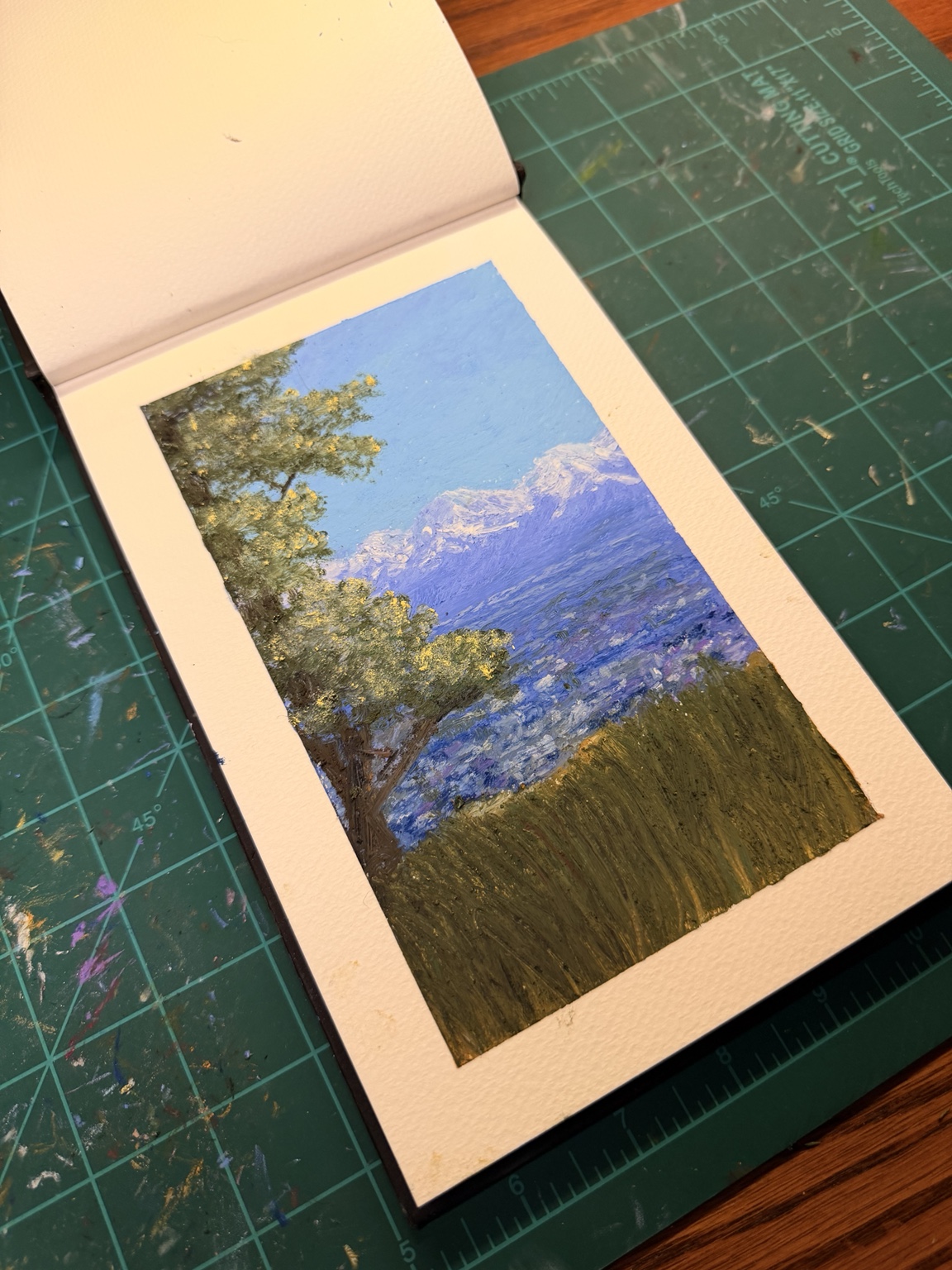 Angled artwork view
